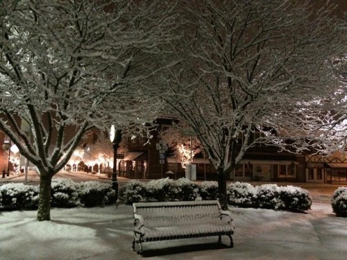 A snowy park scene at night, featuring a bench surrounded by snow-covered trees and softly lit buildings in the background.
