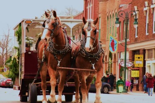 Two horses in harness pulling a decorated wagon down a street lined with shops and festive decorations.