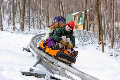 Two people enjoy a snowy ride on a mountain coaster, surrounded by trees in winter attire.