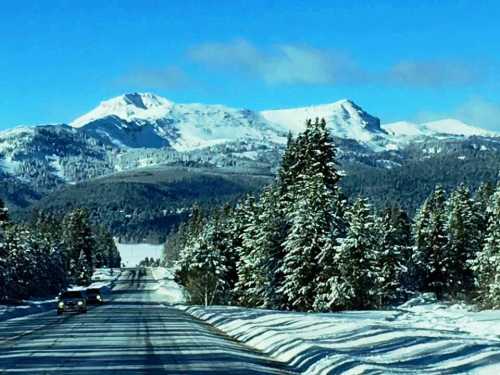 Snow-covered mountains rise in the background, framed by evergreen trees along a winding road under a clear blue sky.