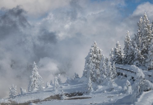 Snow-covered trees stand against a backdrop of clouds and mist in a serene winter landscape.