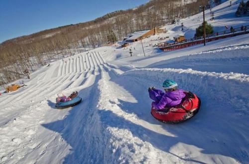 Two children slide down a snowy hill on inflatable tubes, surrounded by trees and a winter landscape.