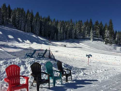 Colorful chairs sit on a snowy slope, surrounded by tall evergreen trees under a clear blue sky.