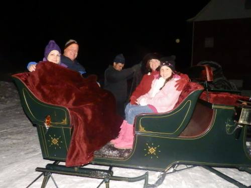 A group of four people bundled in blankets, sitting in a festive sleigh on a snowy night.