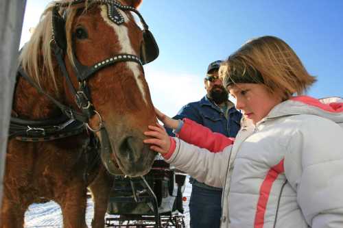 A young girl gently touches a horse while a man in the background watches, set against a clear blue sky.