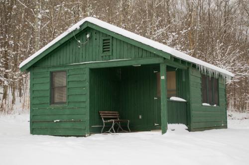 A small green cabin covered in snow, surrounded by trees in a winter landscape.
