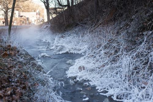 A frozen stream with frosty grass along the banks, surrounded by trees and a hint of mist in the air.