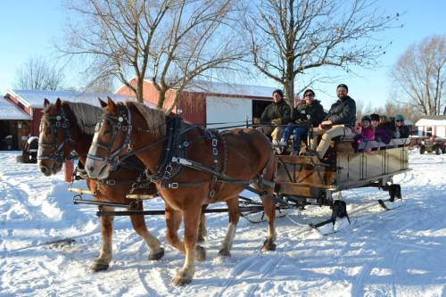 A horse-drawn sleigh carries passengers through a snowy landscape, with trees and buildings in the background.