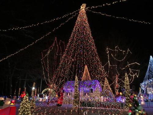A beautifully lit Christmas tree surrounded by colorful holiday lights and decorations at night.