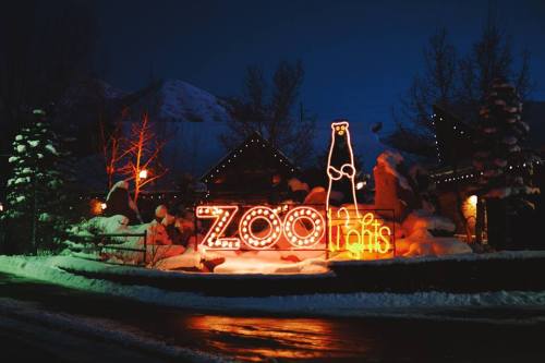 A brightly lit sign reading "Zoo Lights" in a snowy landscape at night, with festive decorations and mountains in the background.
