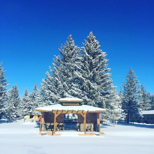A snowy landscape featuring tall evergreen trees and a small gazebo under a clear blue sky.