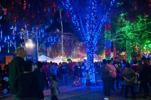 A festive night scene with colorful lights on trees and a crowd enjoying a holiday event.