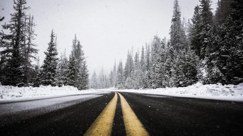 A snow-covered road flanked by tall evergreen trees, with a yellow double line running through the center.