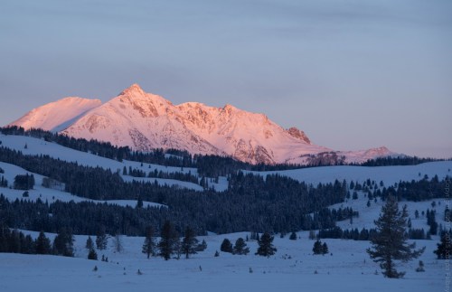 Snow-covered mountains bathed in soft pink light at sunrise, surrounded by a serene winter landscape.