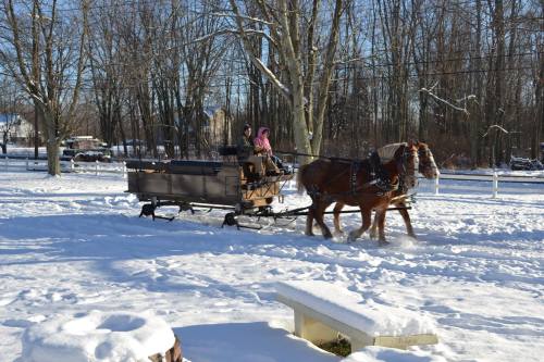 A horse-drawn sleigh travels through a snowy landscape with trees in the background. Two people are seated in the sleigh.