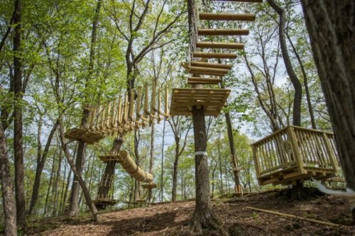 A wooden rope course suspended between trees in a forest, featuring bridges and platforms for climbing and adventure.