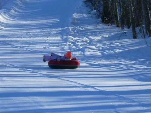 A person in a red snow tube slides down a snowy path surrounded by trees on a bright winter day.