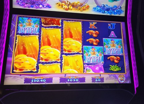 A colorful slot machine display showing spinning reels with symbols like fish, wilds, and a total of $50.40.