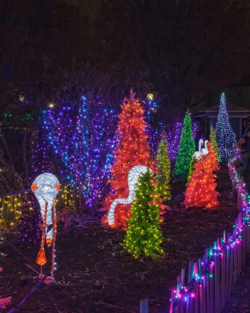 Colorful holiday lights illuminate trees and decorations in a festive outdoor display at night.