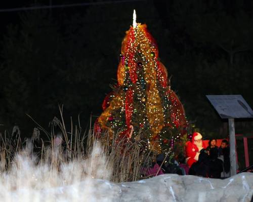 A brightly lit Christmas tree adorned with decorations, with people gathered nearby, including someone in a Santa costume.