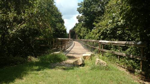 A wooden bridge surrounded by lush greenery, leading into a peaceful natural setting under a blue sky.