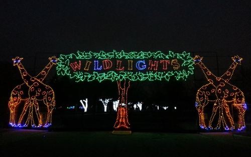 Colorful holiday lights display featuring giraffes and the word "WILDLIGHTS" surrounded by green foliage.