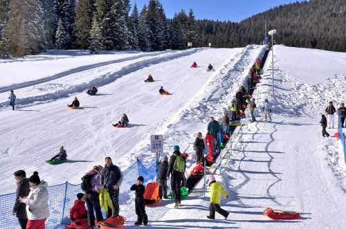 A snowy hill with people sledding down and waiting in line, surrounded by trees and a clear blue sky.