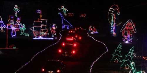 Colorful holiday lights decorate a dark road, featuring festive scenes like a dinosaur, a ship, and Christmas trees.