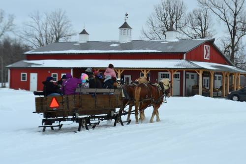 A horse-drawn sleigh carries passengers through snowy terrain near a red barn.