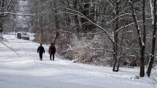 Two people walk along a snowy path surrounded by trees, creating footprints in the fresh snow.