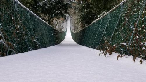 A snow-covered suspension bridge surrounded by trees, leading into a misty, white distance.