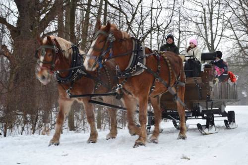 Two horses pull a sleigh through a snowy landscape, with people bundled up sitting in the sleigh. Trees are in the background.