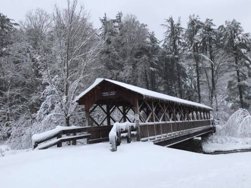 A snow-covered wooden bridge surrounded by trees blanketed in fresh snow.