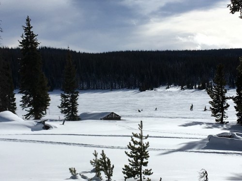 A snowy landscape with evergreen trees and a small cabin in the distance under a cloudy sky.