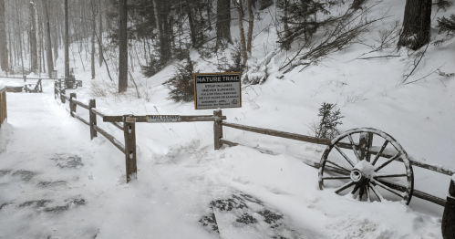 Snow-covered nature trail entrance with a wooden fence and a sign, surrounded by trees in a winter landscape.