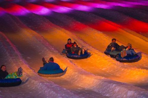 People tubing down a snowy slope, illuminated by colorful lights in the background.