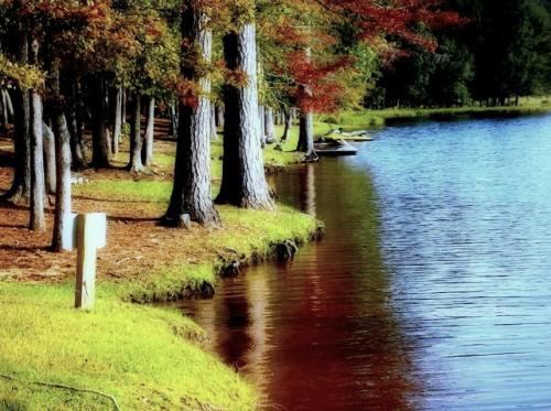 A serene lakeside scene with colorful trees reflecting in the water, and a small boat moored nearby.