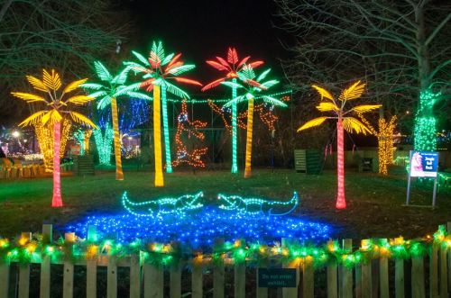 Colorful palm tree lights surround a blue-lit area with two alligator figures, creating a festive nighttime scene.