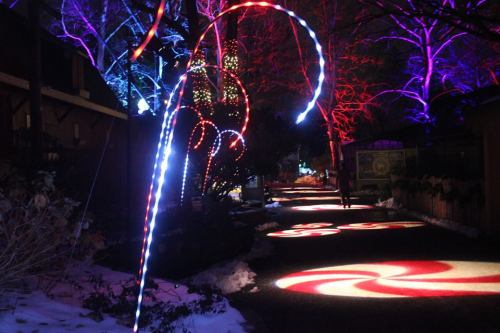 Colorful candy cane lights illuminate a snowy path at night, surrounded by vibrant trees and festive decorations.