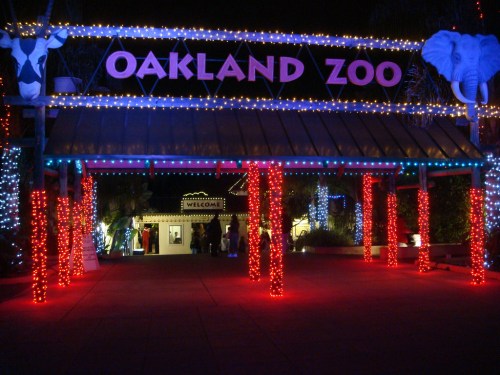 Entrance to Oakland Zoo adorned with colorful lights, featuring elephant decorations and a festive atmosphere at night.