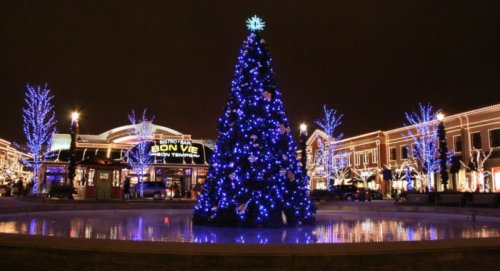 A beautifully lit Christmas tree surrounded by blue lights, reflecting in a fountain at night.