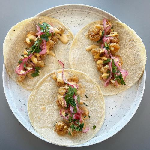 Three tacos on a plate, filled with crispy shrimp, drizzled with sauce, topped with pickled onions and cilantro.