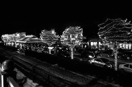 A nighttime scene of a street lined with trees adorned with festive lights, creating a cheerful holiday atmosphere.