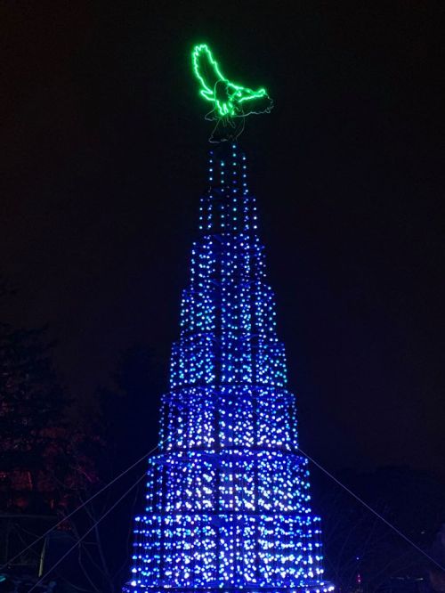 A brightly lit Christmas tree with blue lights and a glowing green bird on top, set against a dark night sky.