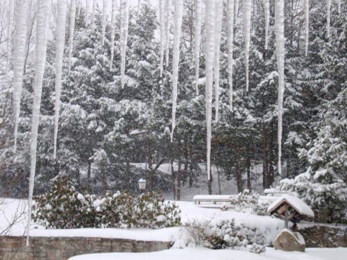 Icicles hang from a roof in a snowy landscape, with trees and a bench partially visible in the background.