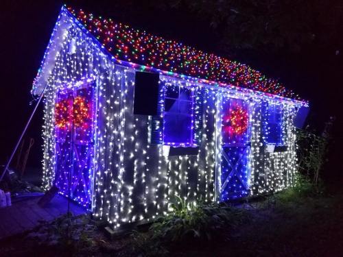 A small shed decorated with colorful Christmas lights, glowing brightly against a dark night sky.