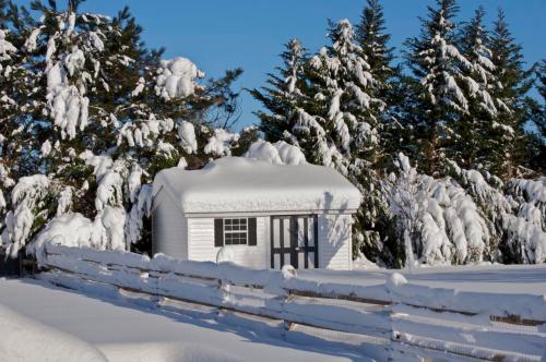A small white cabin covered in snow, surrounded by tall evergreen trees and a wooden fence in a winter landscape.