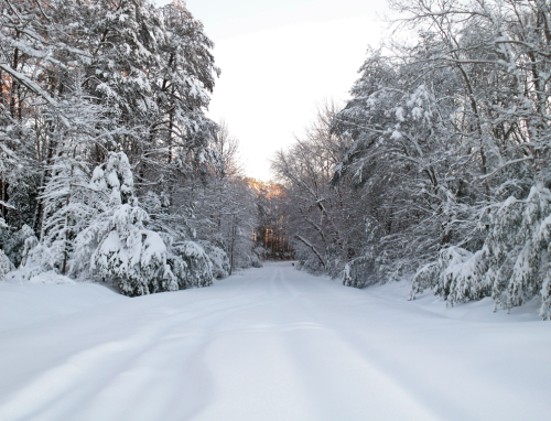 A snow-covered road flanked by trees blanketed in fresh snow, creating a serene winter landscape.