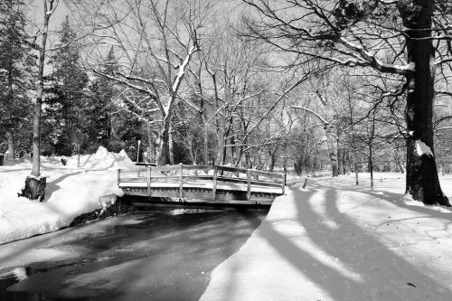 A snowy landscape featuring a wooden bridge over a calm stream, surrounded by bare trees and a serene winter scene.
