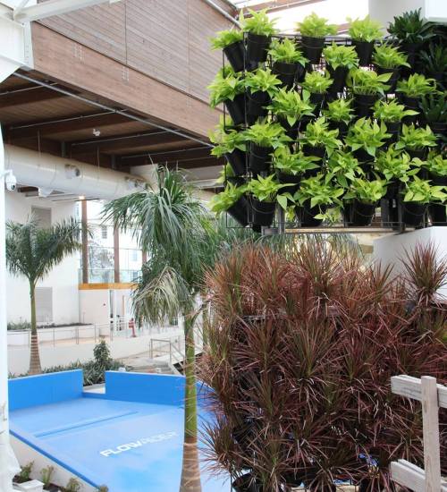Indoor space featuring lush green plants, palm trees, and a blue area labeled "FLOW." Bright and modern atmosphere.